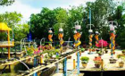 Tour du lịch Cồn Phụng - Bến Tre