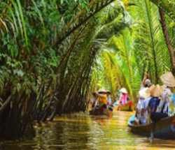 Tour Du Lịch Cồn Phụng Bến Tre