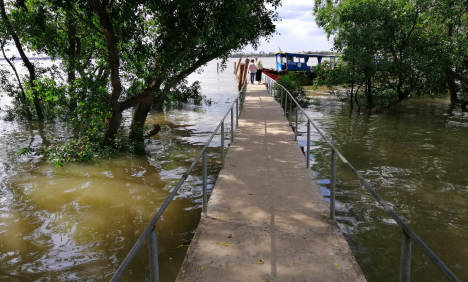 Tour du lịch Cồn Phụng - Bến Tre
