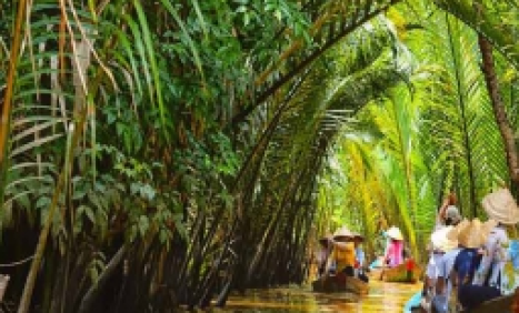 Ghé Cồn Phụng, thưởng thức đặc sản thơm ngon của xứ dừa bến tre
